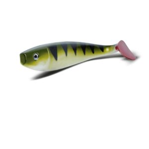 Shad GT