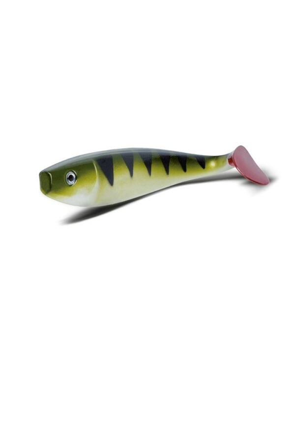 Shad GT