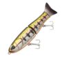 t12-iwana-trout
