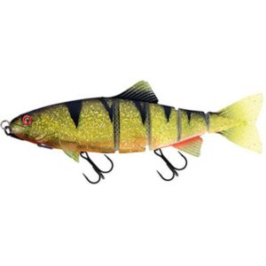 Jointed Shallow Trout Perch