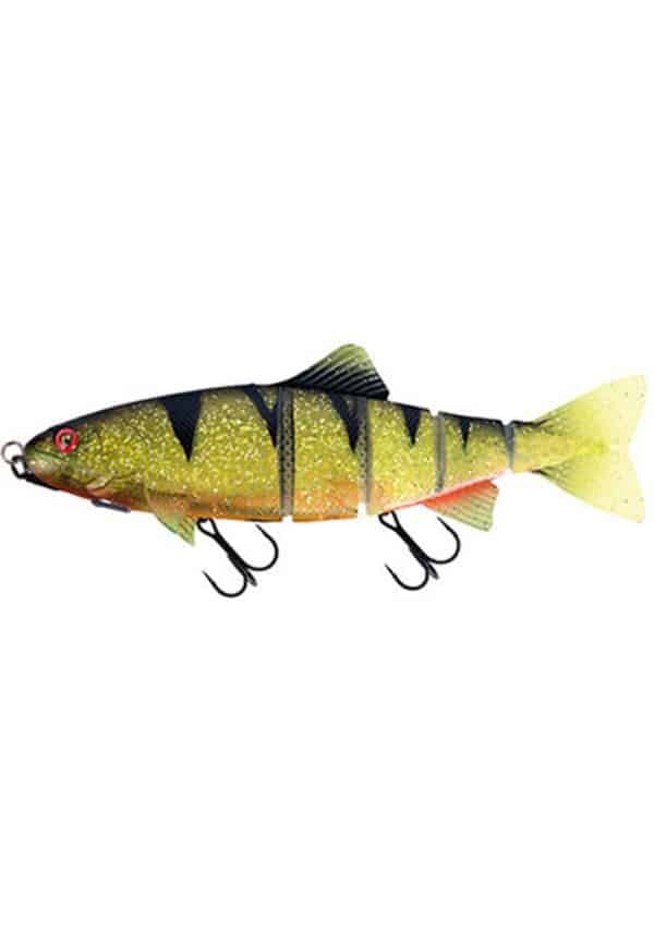 Jointed Shallow Trout Perch