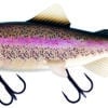 rainbow-trout
