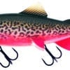 tiger-trout