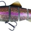 rainbow-trout