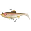 rainbow-trout