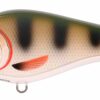 perch