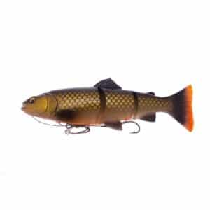 3D Line thru trout Dirty Roach