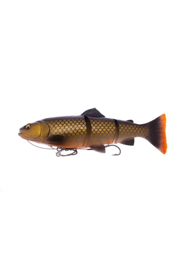 3D Line thru trout Dirty Roach