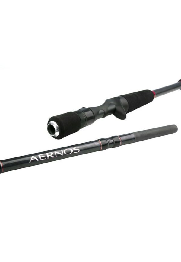 Canne Casting Aernos