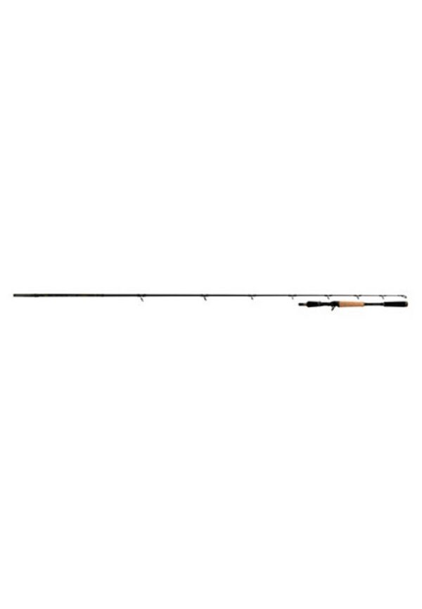 Canne Casting Terminator BigBait