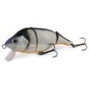 silver-baitfish