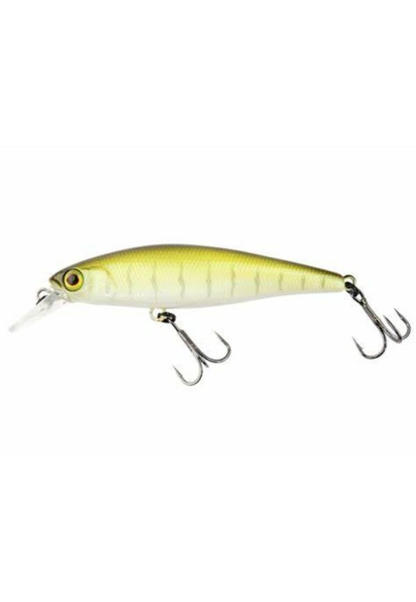 Squad Minnow 65 Vairon