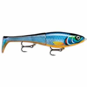 X Rap Peto 20 Blue Ghost