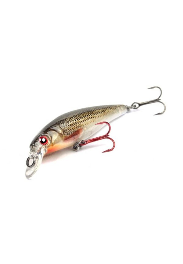 Leurre Dur Ikiru Silent Jerk 65 SLS Spro