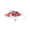 koi-carp