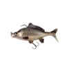 common-carp