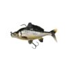 mirror-carp