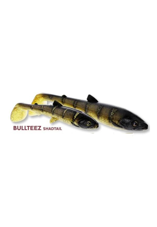 Leurre Souple Bullteez 18cm 53gr Westin