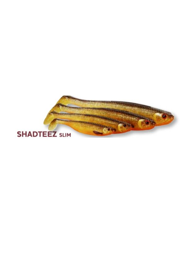 Leurre Souple Shadteez Slim 27cm 117gr Westin