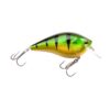 gloss-perch