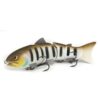 buzzy-minnow