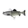 silver-baitfish